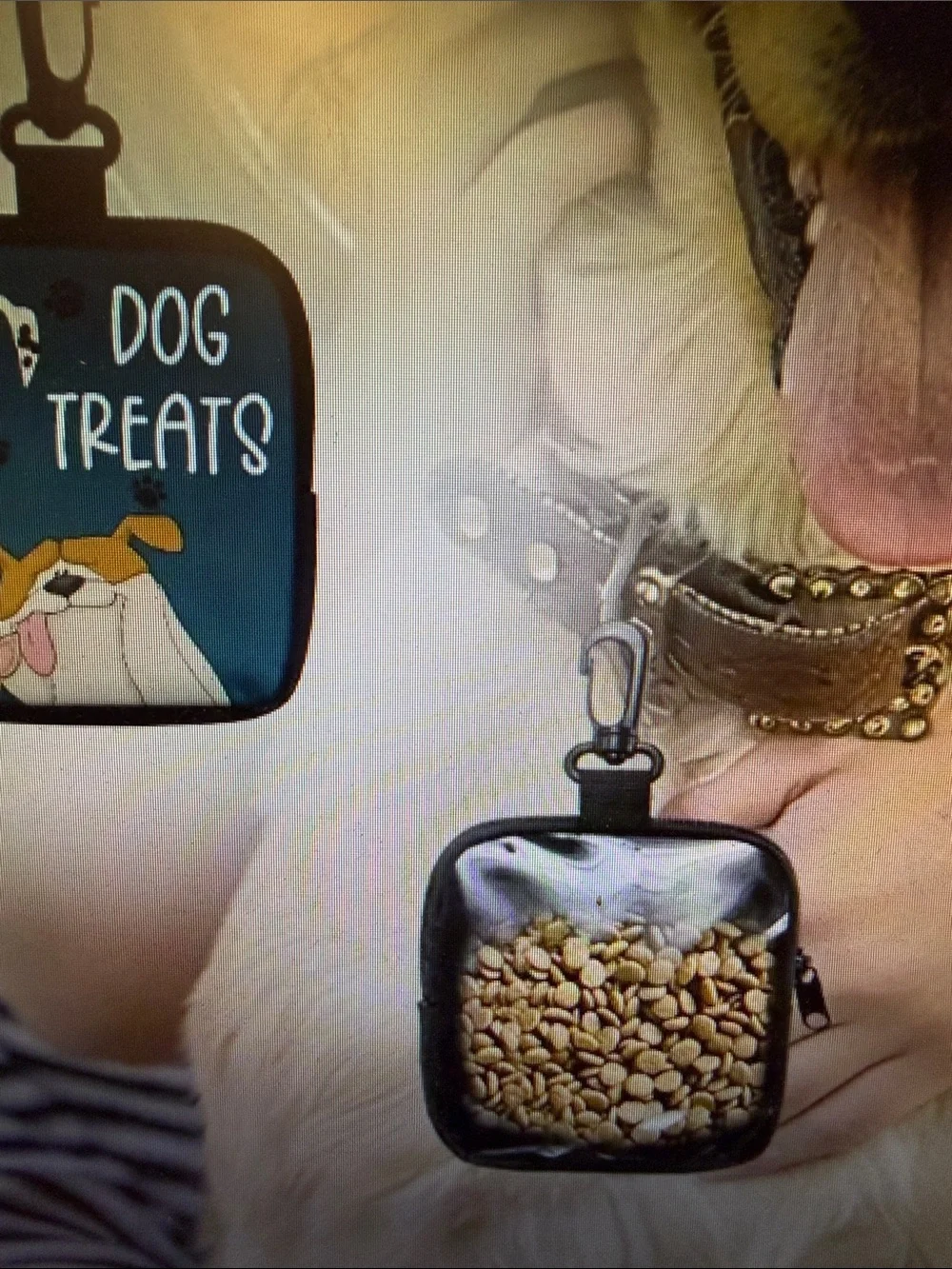 ❣️5/$25❣️Dog Treats Carry Pouch - Blue. 🆕